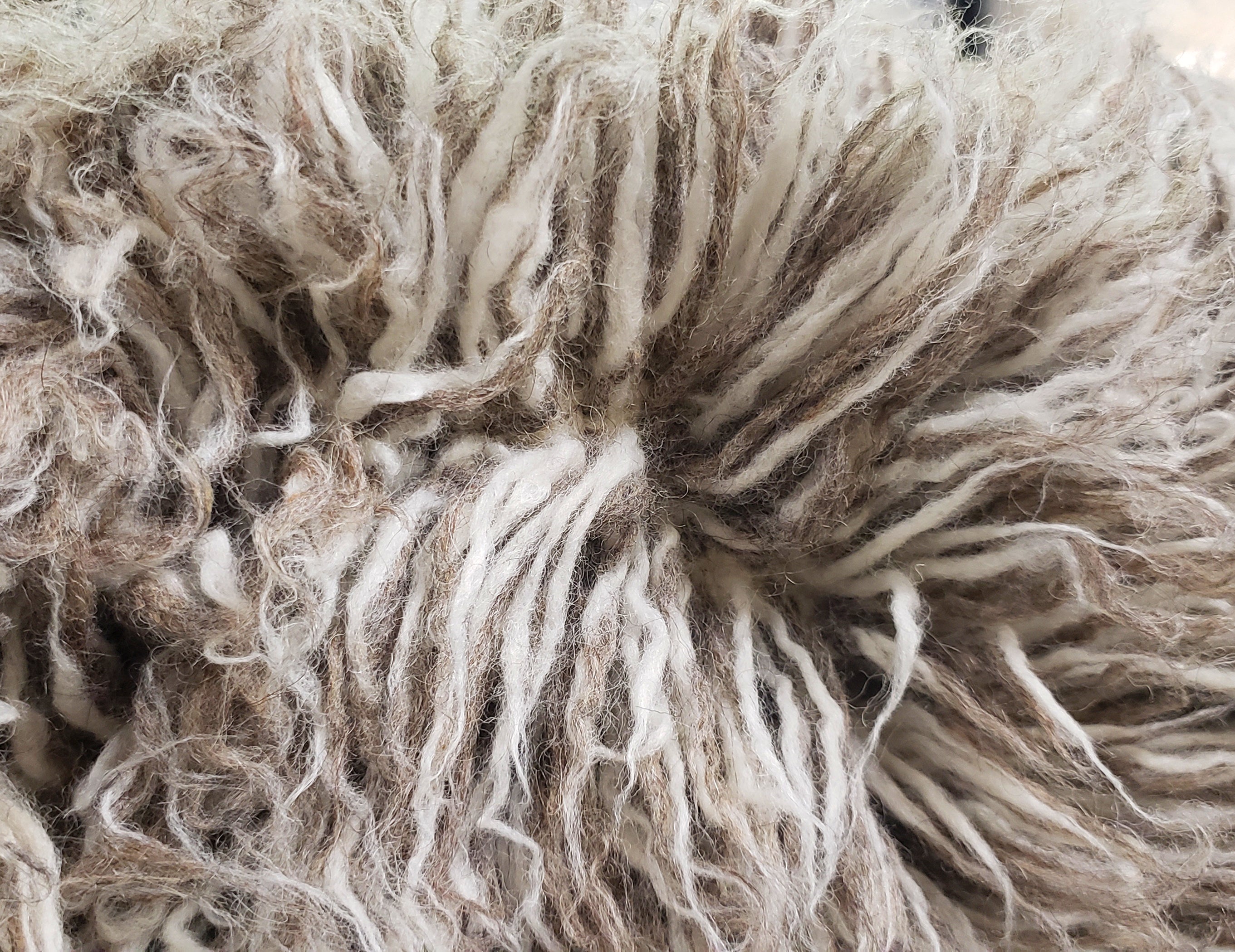 HUGE 10' ROUND FLOKATI RUG💥NATURAL GRAY AND WHITE BLEND💥LONG 3.5