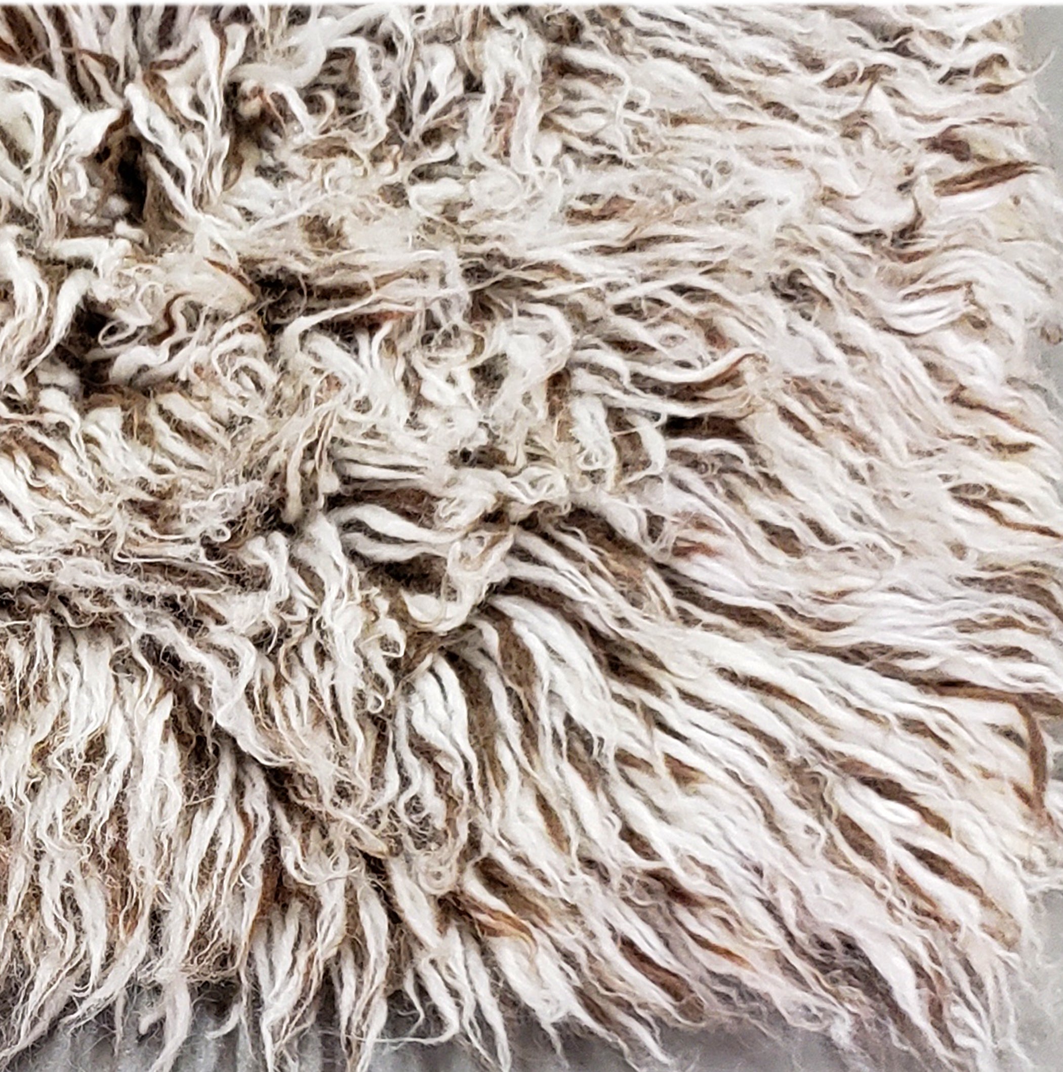 ULTRA- PLUSH 3X5 CUSTOM FLOKATI RUG💥THICK 4000 GRAM WEIGHT💥LONG 4