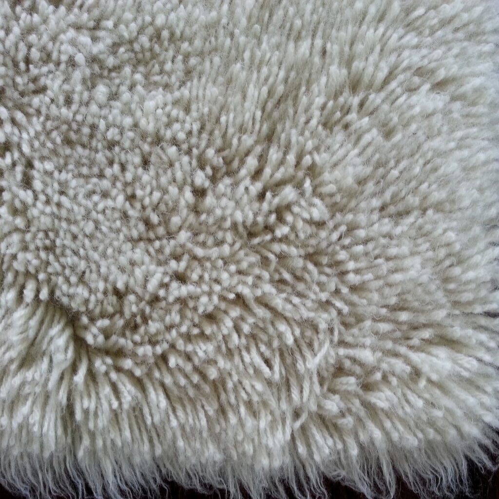 Short Hair Rug The Ultimate Guide to Short Hair Rugs: Benefits, Types & Selection Tips